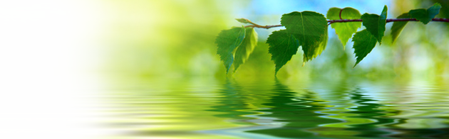 トップイメージ